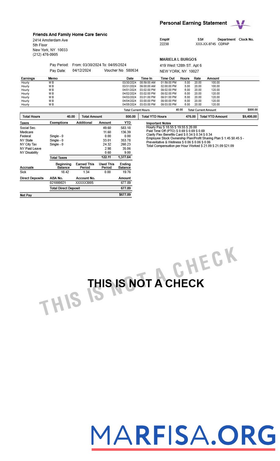 Realistic Home Care Servic personal earning statement example